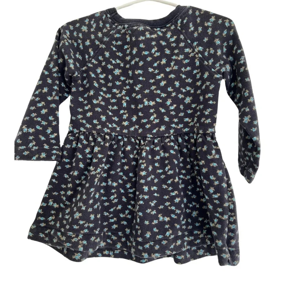 Baby Gap Toddler Girl Long Sleeve Navy Dress‎ 18-24 Mo Floral Sweatshirt Fog